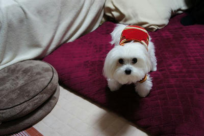 DSC00680.JPG