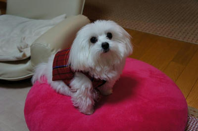 DSC00715.JPG