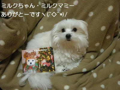 DSCN9728.JPG
