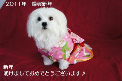 DSC00641.JPG