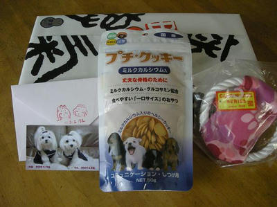 DSCN9753.JPG
