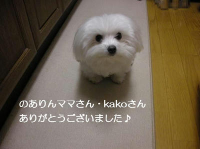 DSCN9765.JPG