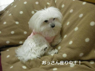 DSCN9769.JPG