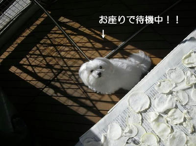 DSCN9798.JPG
