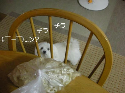 DSCN9808.JPG