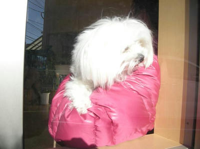 DSCN9827.JPG