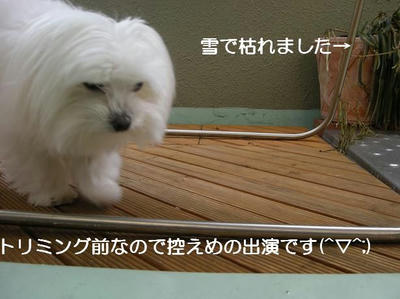 DSCN9831.JPG
