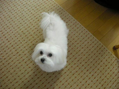 DSCN9837.JPG