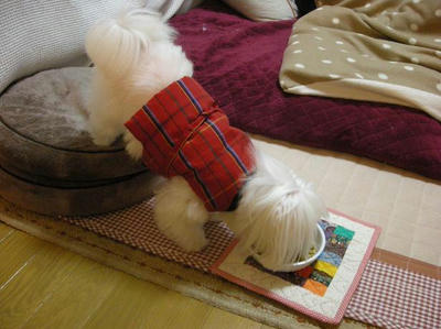 DSCN9849.JPG