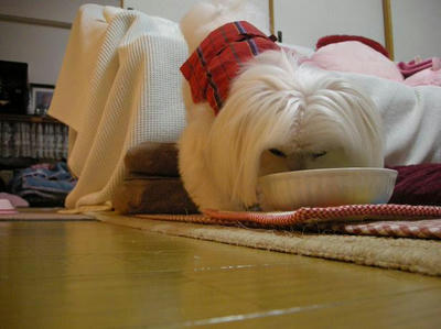 DSCN9854.JPG