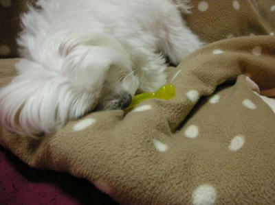 DSCN9861.JPG