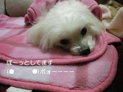 DSCN9874.JPG