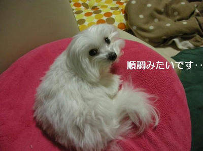DSCN9878.JPG
