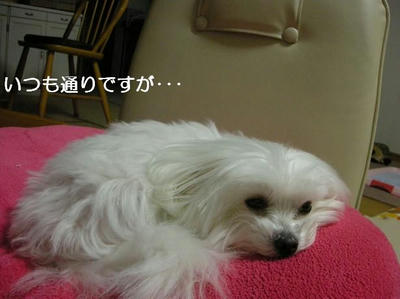 DSCN9882.JPG