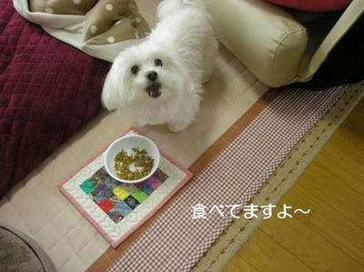 DSCN9896.JPG