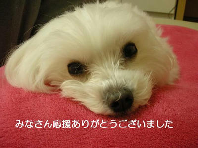 DSCN9899.JPG