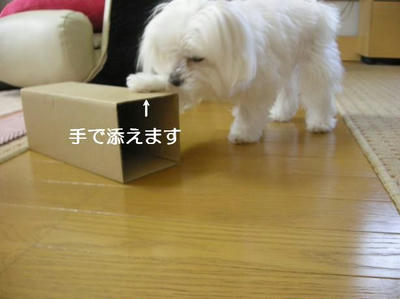DSCN9919.JPG