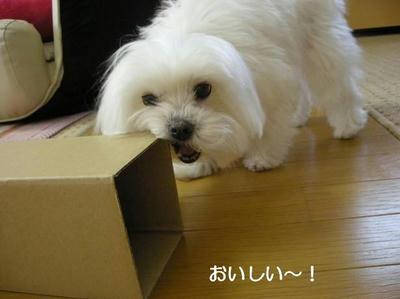 DSCN9921.JPG