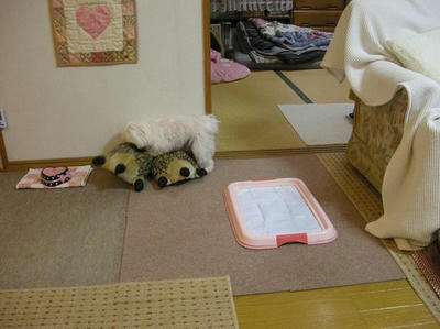 DSCN9937.JPG