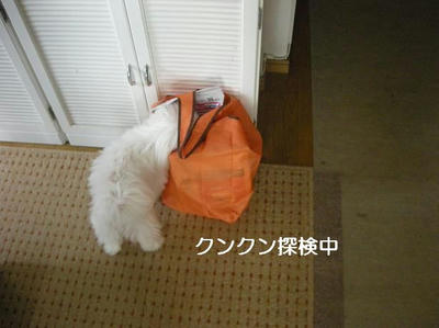 DSCN9955.JPG
