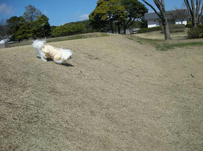 DSCN0017.JPG