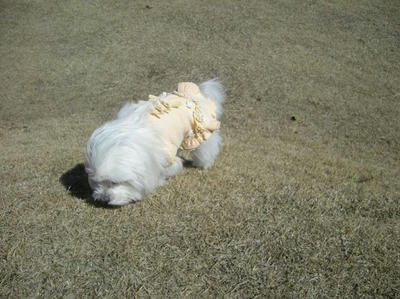 DSCN0023.JPG