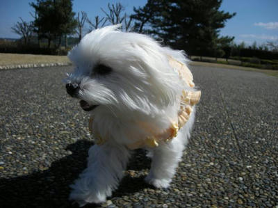 DSCN0048.JPG
