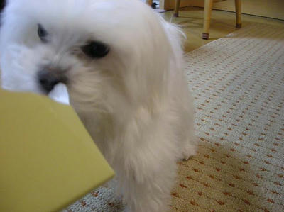 DSCN0085.JPG