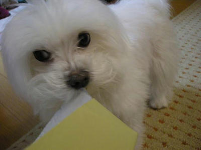 DSCN0088.JPG
