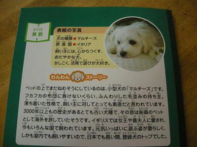 DSCN0107.JPG