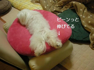 DSCN0117.JPG