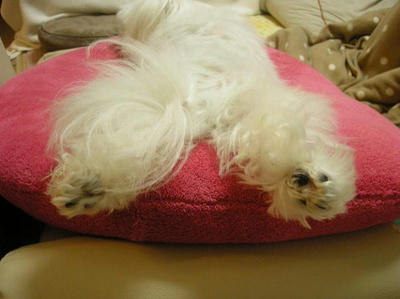 DSCN0121.JPG