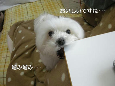 DSCN0162.JPG