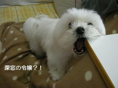 DSCN0170.JPG