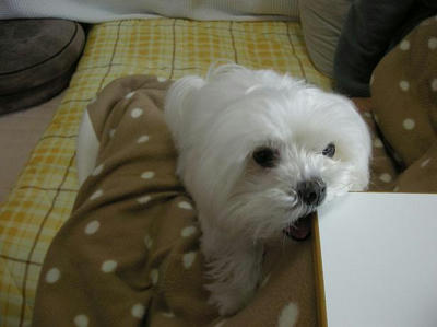 DSCN0172.JPG