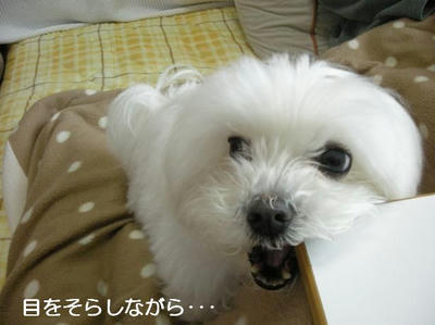 DSCN0177.JPG