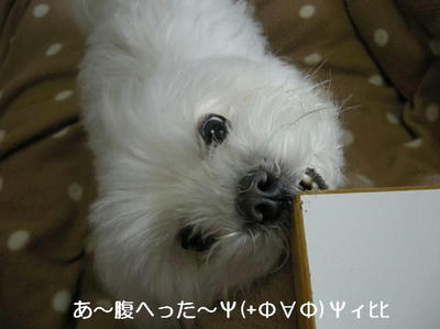 DSCN0181.JPG