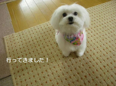 DSCN0224.JPG