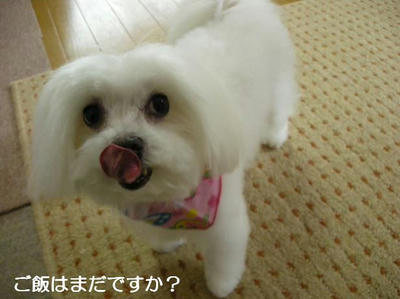 DSCN0227.JPG