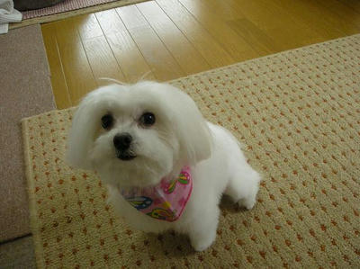 DSCN0229.JPG