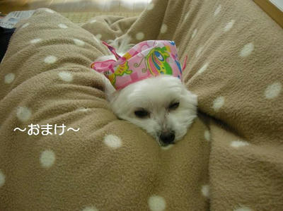 DSCN0235.JPG
