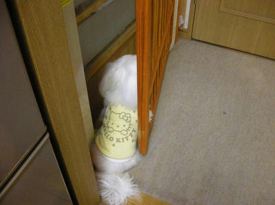 DSCN0251.JPG
