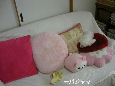 DSCN0293.JPG