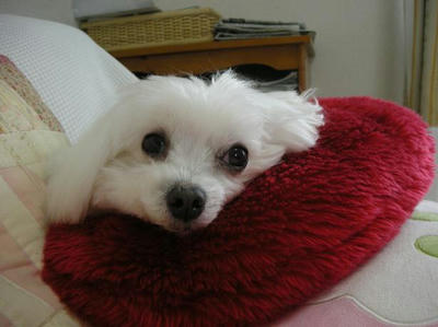 DSCN0295.JPG
