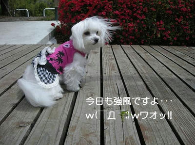 DSCN0311.JPG