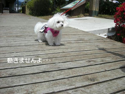 DSCN0318.JPG