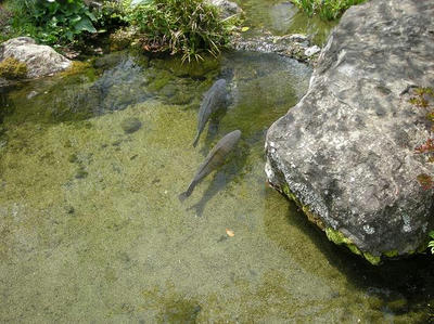 DSCN0320.JPG