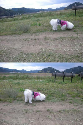 DSCN0343.JPG
