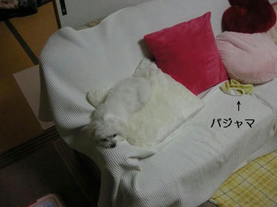 DSCN0350.JPG