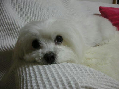 DSCN0351.JPG